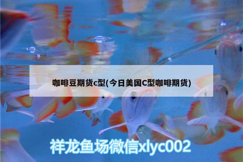 咖啡豆期货c型(今日美国C型咖啡期货) 马来西亚咖啡