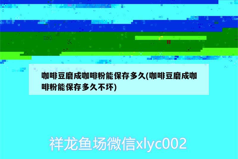 咖啡豆磨成咖啡粉能保存多久(咖啡豆磨成咖啡粉能保存多久不坏) 马来西亚咖啡