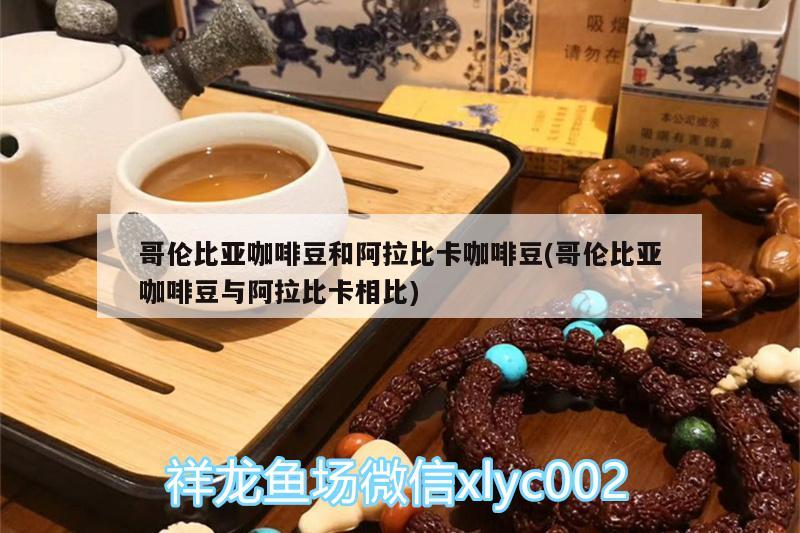 哥伦比亚咖啡豆和阿拉比卡咖啡豆(哥伦比亚咖啡豆与阿拉比卡相比) 马来西亚咖啡