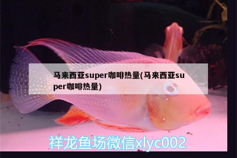 马来西亚super咖啡热量(马来西亚super咖啡热量) 垂钓乐园