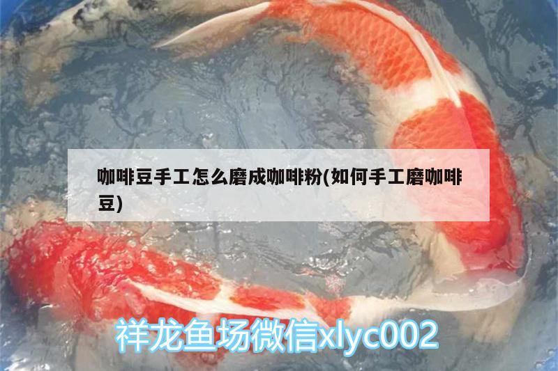 咖啡豆手工怎么磨成咖啡粉(如何手工磨咖啡豆) 马来西亚咖啡