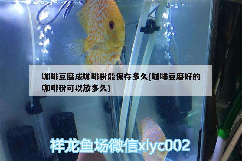 咖啡豆磨成咖啡粉能保存多久(咖啡豆磨好的咖啡粉可以放多久) 马来西亚咖啡