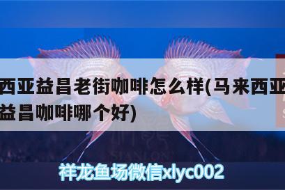 马来西亚益昌老街咖啡怎么样(马来西亚旧街场和益昌咖啡哪个好) 马来西亚咖啡