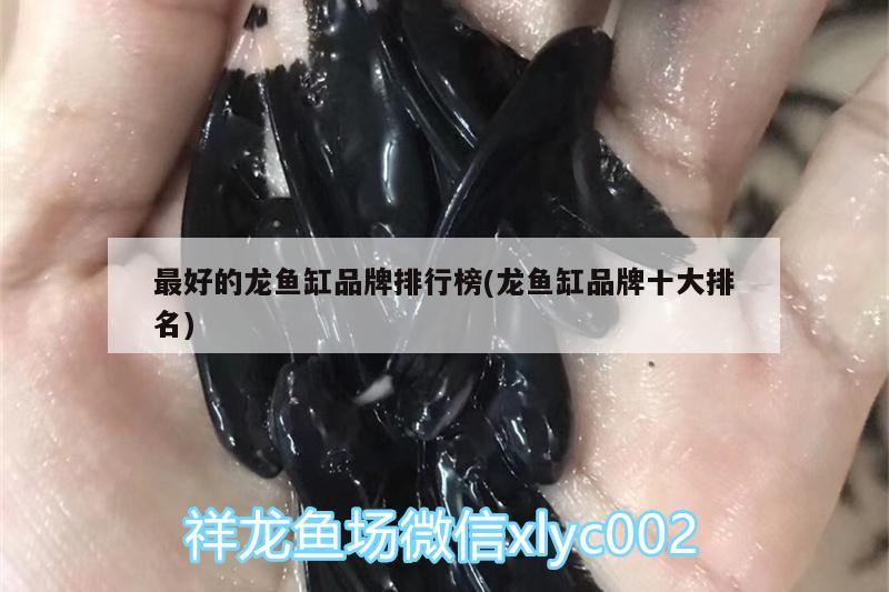 最好的龙鱼缸品牌排行榜(龙鱼缸品牌十大排名) 水族品牌