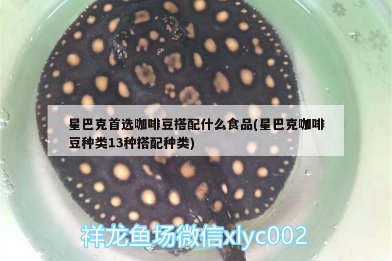 星巴克首选咖啡豆搭配什么食品(星巴克咖啡豆种类13种搭配种类) 马来西亚咖啡