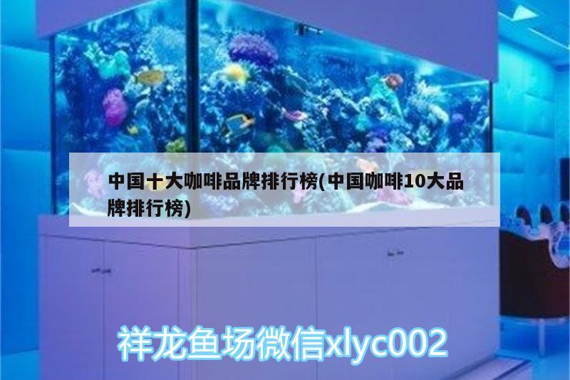 中国十大咖啡品牌排行榜(中国咖啡10大品牌排行榜) 马来西亚咖啡