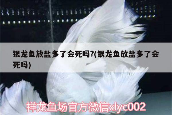 银龙鱼放盐多了会死吗?(银龙鱼放盐多了会死吗) 银龙鱼