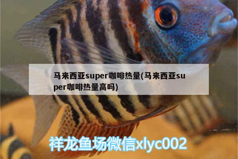 马来西亚super咖啡热量(马来西亚super咖啡热量高吗)