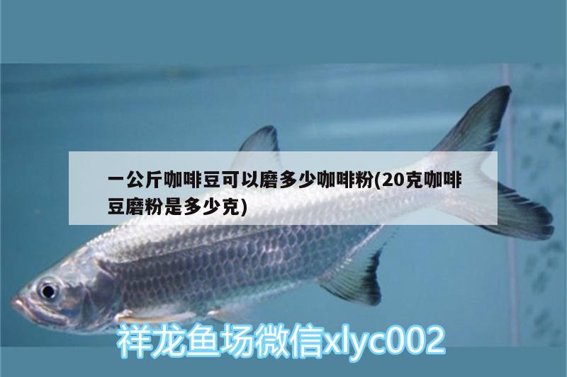 一公斤咖啡豆可以磨多少咖啡粉(20克咖啡豆磨粉是多少克) 马来西亚咖啡 第1张