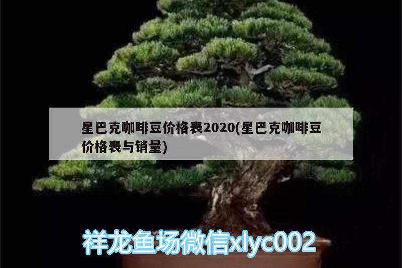 星巴克咖啡豆价格表2020(星巴克咖啡豆价格表与销量) 马来西亚咖啡 第2张