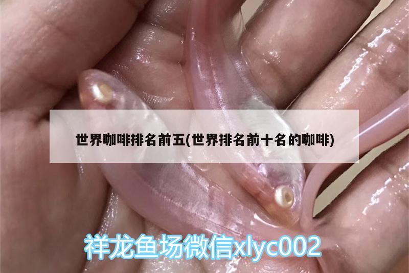 世界咖啡排名前五(世界排名前十名的咖啡) 马来西亚咖啡