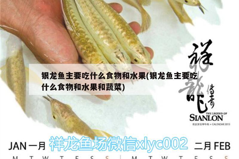 银龙鱼主要吃什么食物和水果(银龙鱼主要吃什么食物和水果和蔬菜) 银龙鱼