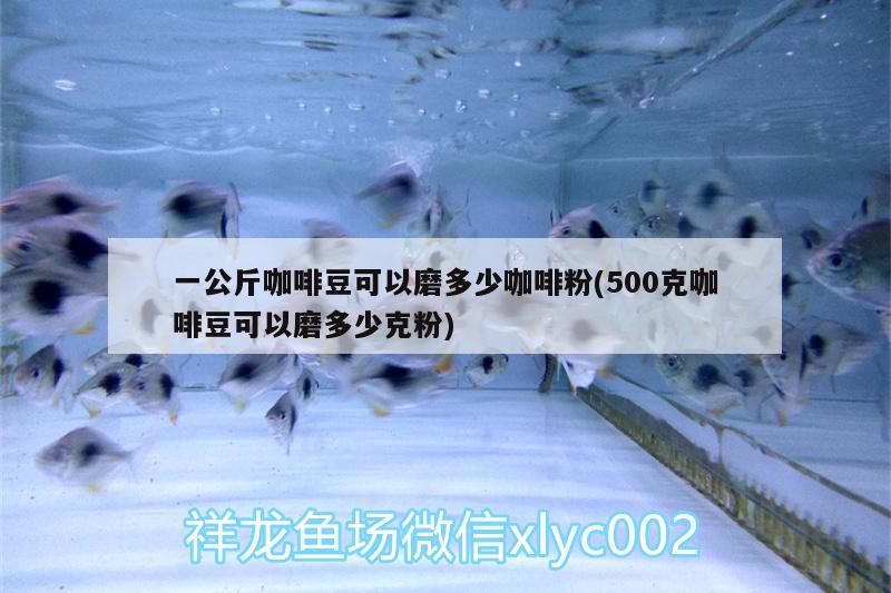 一公斤咖啡豆可以磨多少咖啡粉(500克咖啡豆可以磨多少克粉) 马来西亚咖啡