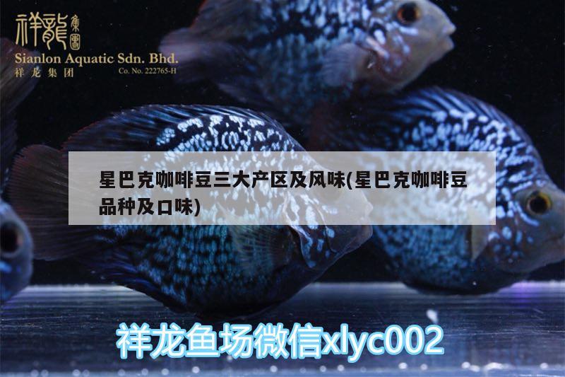 星巴克咖啡豆三大产区及风味(星巴克咖啡豆品种及口味)