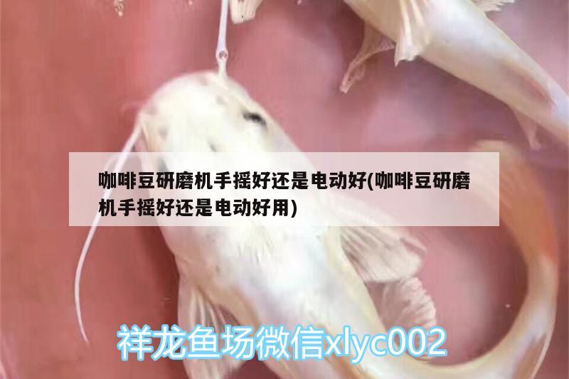 咖啡豆研磨机手摇好还是电动好(咖啡豆研磨机手摇好还是电动好用) 马来西亚咖啡