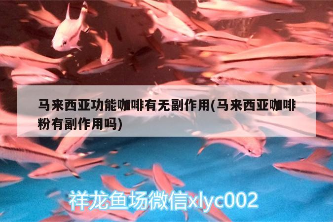 马来西亚功能咖啡有无副作用(马来西亚咖啡粉有副作用吗)