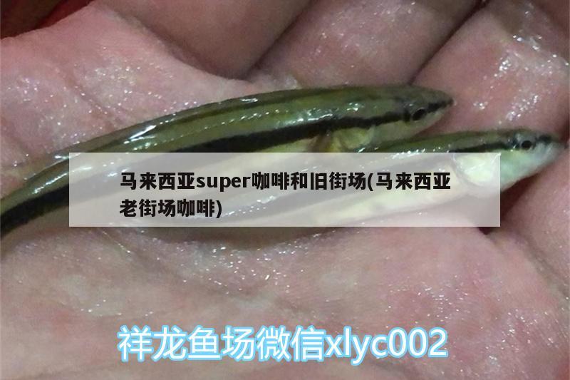 马来西亚super咖啡和旧街场(马来西亚老街场咖啡) 垂钓乐园