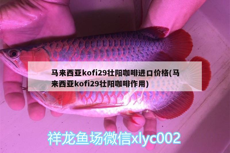 马来西亚kofi29壮阳咖啡进口价格(马来西亚kofi29壮阳咖啡作用)