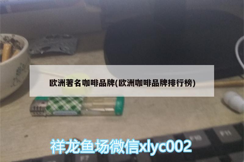 欧洲著名咖啡品牌(欧洲咖啡品牌排行榜) 马来西亚咖啡