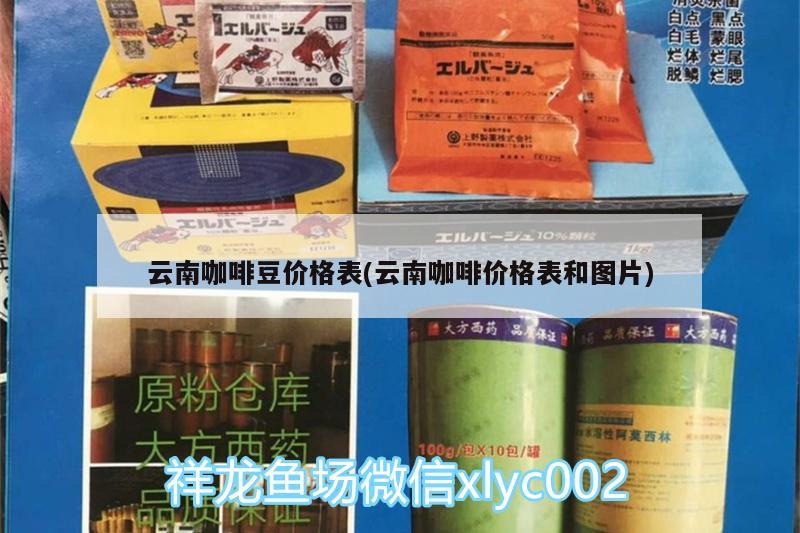 云南咖啡豆价格表(云南咖啡价格表和图片)