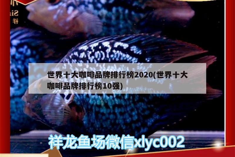 世界十大咖啡品牌排行榜2020(世界十大咖啡品牌排行榜10强) 马来西亚咖啡