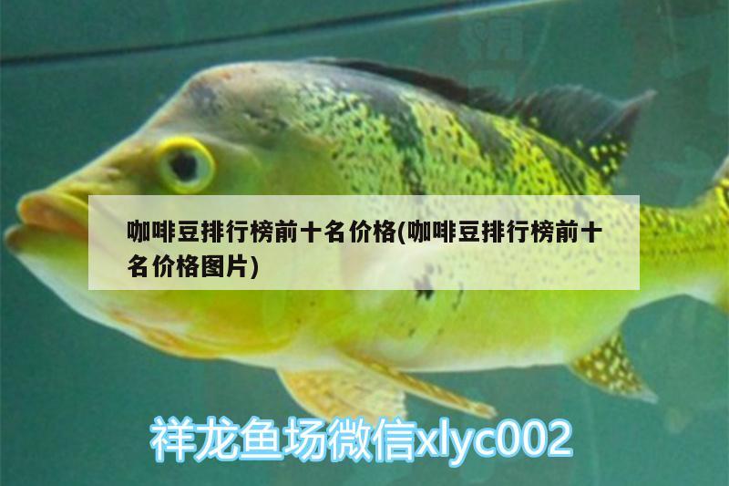 咖啡豆排行榜前十名价格(咖啡豆排行榜前十名价格图片)