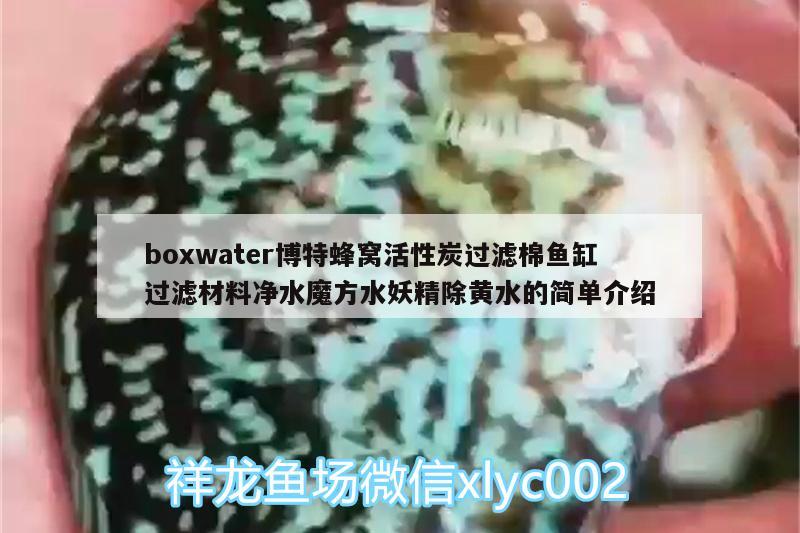 boxwater博特蜂窝活性炭过滤棉鱼缸过滤材料净水魔方水妖精除黄水的简单介绍 博特水族