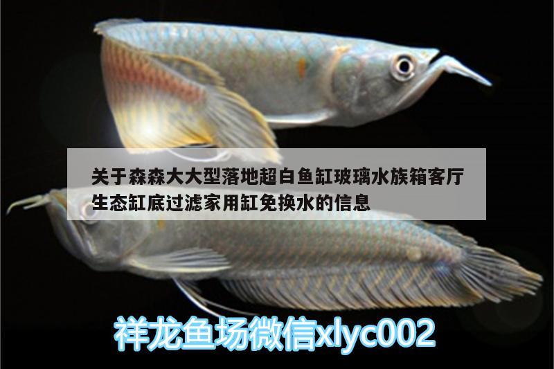 关于森森大大型落地超白鱼缸玻璃水族箱客厅生态缸底过滤家用缸免换水的信息 鱼缸/水族箱