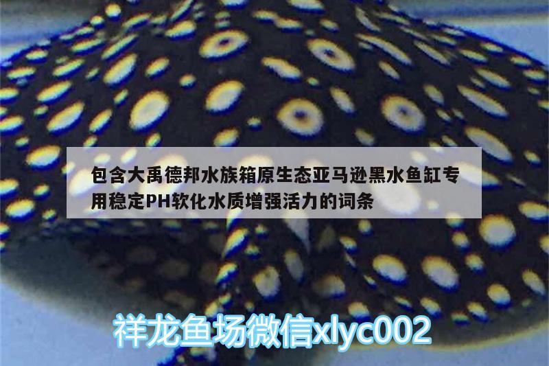 包含大禹德邦水族箱原生态亚马逊黑水鱼缸专用稳定PH软化水质增强活力的词条