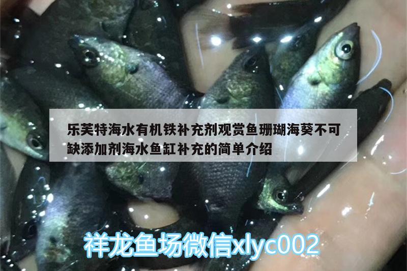 乐芙特海水有机铁补充剂观赏鱼珊瑚海葵不可缺添加剂海水鱼缸补充的简单介绍 海水鱼