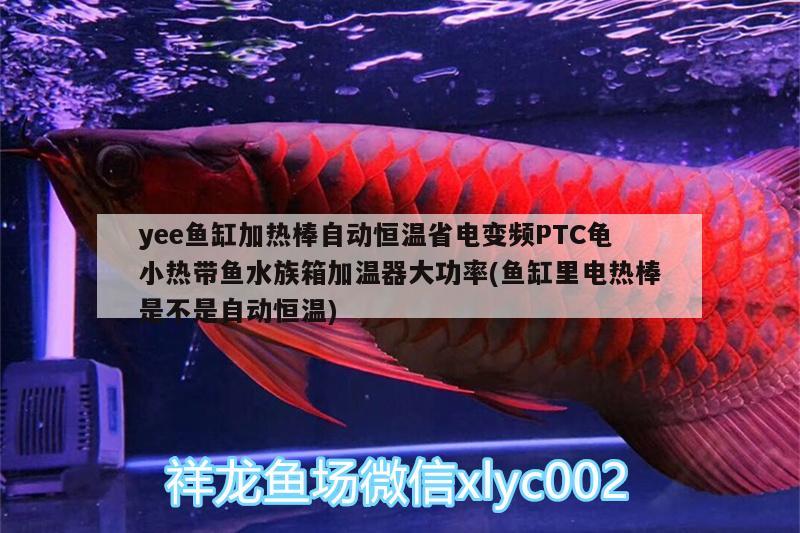 yee鱼缸加热棒自动恒温省电变频PTC龟小热带鱼水族箱加温器大功率(鱼缸里电热棒是不是自动恒温)