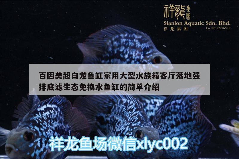 百因美超白龙鱼缸家用大型水族箱客厅落地强排底滤生态免换水鱼缸的简单介绍