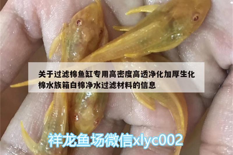 关于过滤棉鱼缸专用高密度高透净化加厚生化棉水族箱白棉净水过滤材料的信息 鱼缸/水族箱