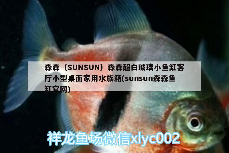 森森（SUNSUN）森森超白玻璃小鱼缸客厅小型桌面家用水族箱(sunsun森森鱼缸官网) 鱼缸/水族箱