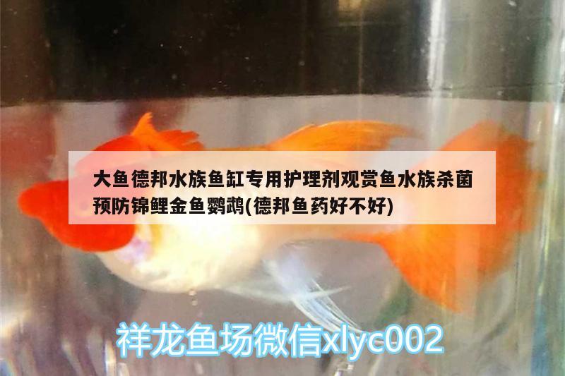 大鱼德邦水族鱼缸专用护理剂观赏鱼水族杀菌预防锦鲤金鱼鹦鹉(德邦鱼药好不好)