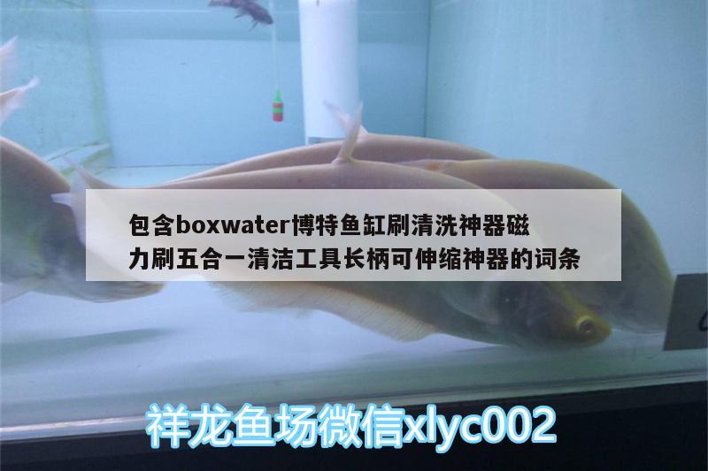 包含boxwater博特鱼缸刷清洗神器磁力刷五合一清洁工具长柄可伸缩神器的词条