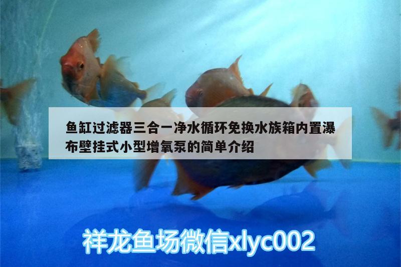 鱼缸过滤器三合一净水循环免换水族箱内置瀑布壁挂式小型增氧泵的简单介绍 鱼缸/水族箱