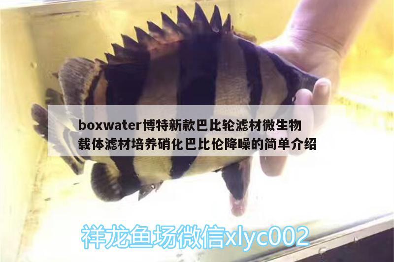 boxwater博特新款巴比轮滤材微生物载体滤材培养硝化巴比伦降噪的简单介绍