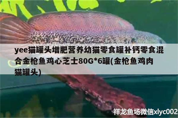 yee猫罐头增肥营养幼猫零食罐补钙零食混合金枪鱼鸡心芝士80G*6罐(金枪鱼鸡肉猫罐头)