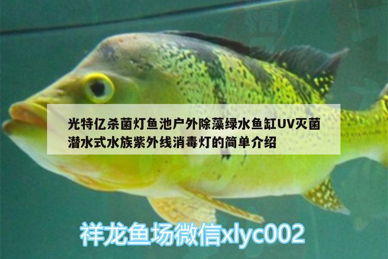 光特亿杀菌灯鱼池户外除藻绿水鱼缸UV灭菌潜水式水族紫外线消毒灯的简单介绍