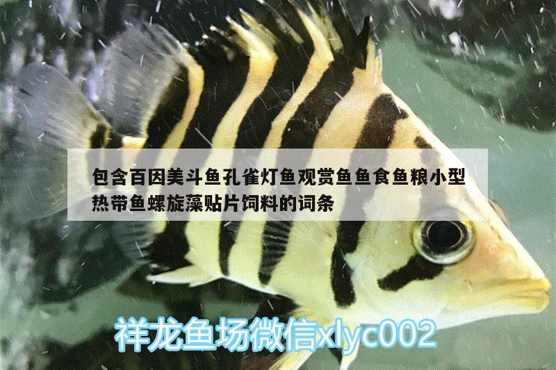 包含百因美斗鱼孔雀灯鱼观赏鱼鱼食鱼粮小型热带鱼螺旋藻贴片饲料的词条