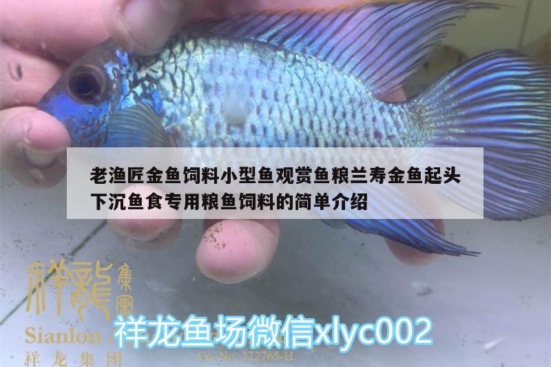 老渔匠金鱼饲料小型鱼观赏鱼粮兰寿金鱼起头下沉鱼食专用粮鱼饲料的简单介绍