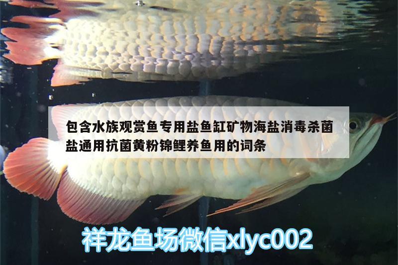 包含水族观赏鱼专用盐鱼缸矿物海盐消毒杀菌盐通用抗菌黄粉锦鲤养鱼用的词条