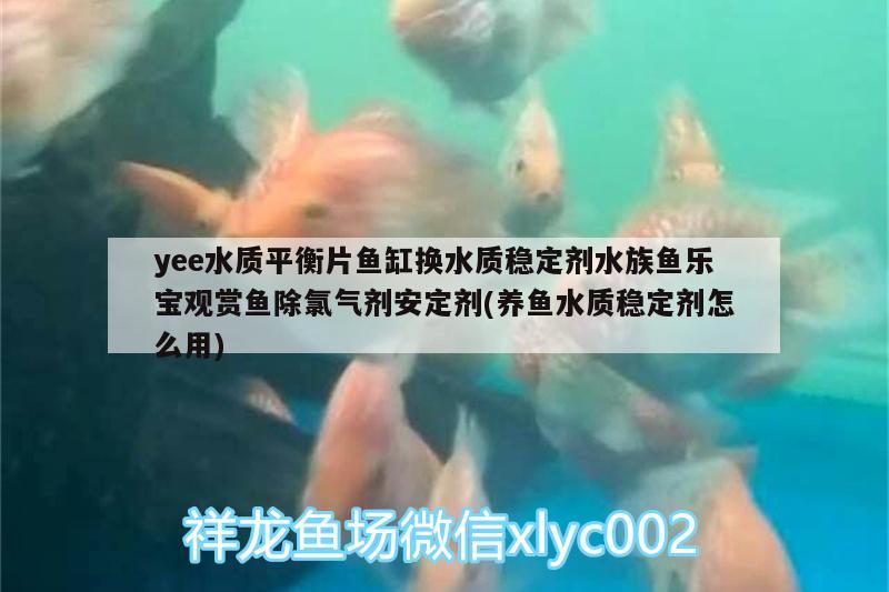 yee水质平衡片鱼缸换水质稳定剂水族鱼乐宝观赏鱼除氯气剂安定剂(养鱼水质稳定剂怎么用)