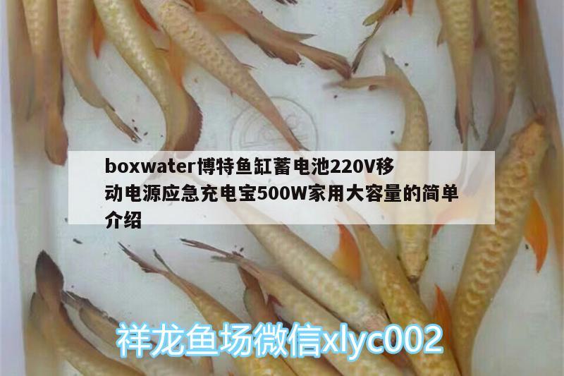 boxwater博特鱼缸蓄电池220V移动电源应急充电宝500W家用大容量的简单介绍 博特水族