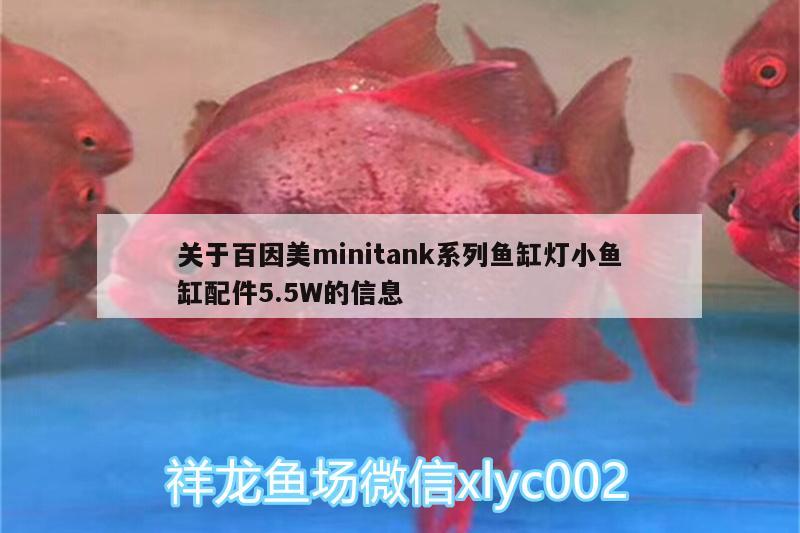 关于百因美minitank系列鱼缸灯小鱼缸配件5.5W的信息 广州水族器材滤材批发市场