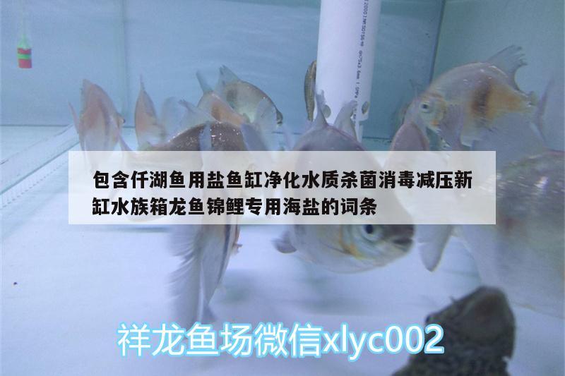 包含仟湖鱼用盐鱼缸净化水质杀菌消毒减压新缸水族箱龙鱼锦鲤专用海盐的词条