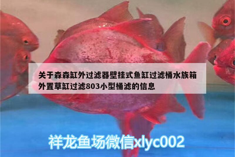 关于森森缸外过滤器壁挂式鱼缸过滤桶水族箱外置草缸过滤803小型桶滤的信息 鱼缸/水族箱