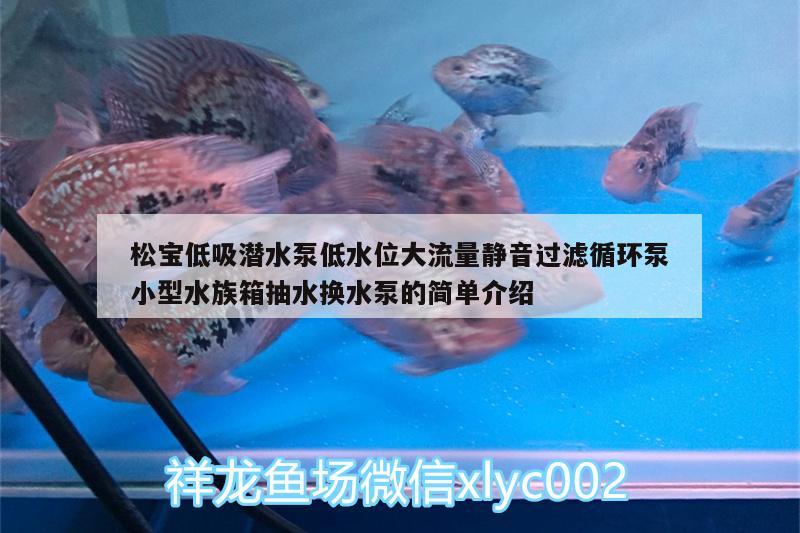 松宝低吸潜水泵低水位大流量静音过滤循环泵小型水族箱抽水换水泵的简单介绍 鱼缸/水族箱