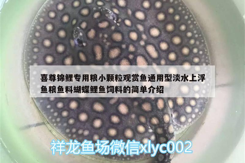 喜尊锦鲤专用粮小颗粒观赏鱼通用型淡水上浮鱼粮鱼料蝴蝶鲤鱼饲料的简单介绍